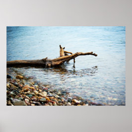 カラープリント ポスター