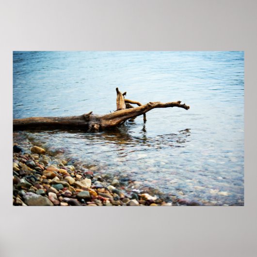 カラープリント ポスター (正面)