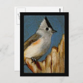 カラーペンシルのタフテッドタイマウス ポストカード (正面/裏面)