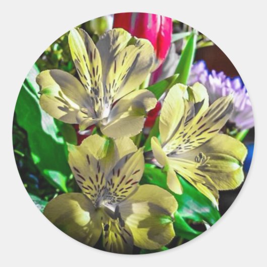 カラーポップ・アートのフラワーシール ラウンドシール (正面)