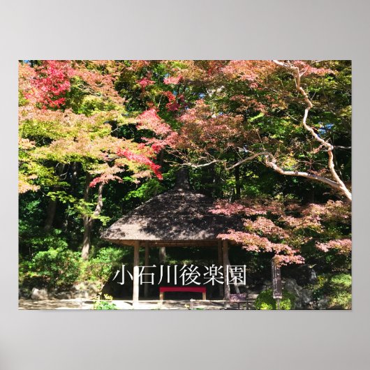 カラーメープルツリーアンドレストハウス ポスター (正面)