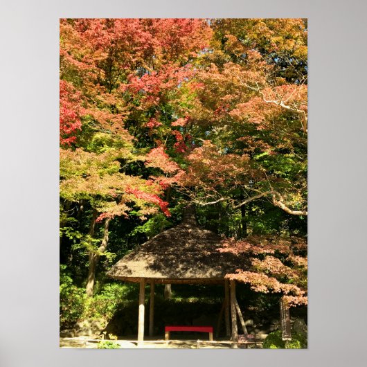 カラーメープルツリーアンドレストハウス ポスター (正面)