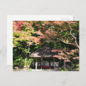 カラーメープルツリーアンドレストハウス ポストカード (正面/裏面)