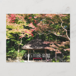 カラーメープルツリーアンドレストハウス ポストカード