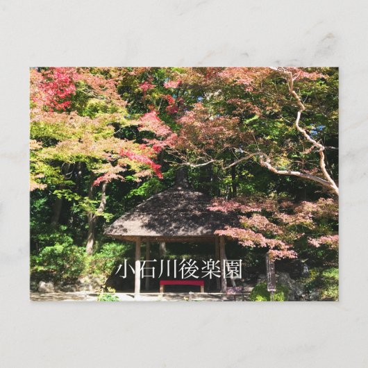 カラーメープルツリーアンドレストハウス ポストカード (正面)