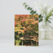 カラーメープルツリーアンドレストハウス ポストカード (スタンド正面)