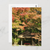 カラーメープルツリーアンドレストハウス ポストカード (正面/裏面)