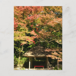 カラーメープルツリーアンドレストハウス ポストカード