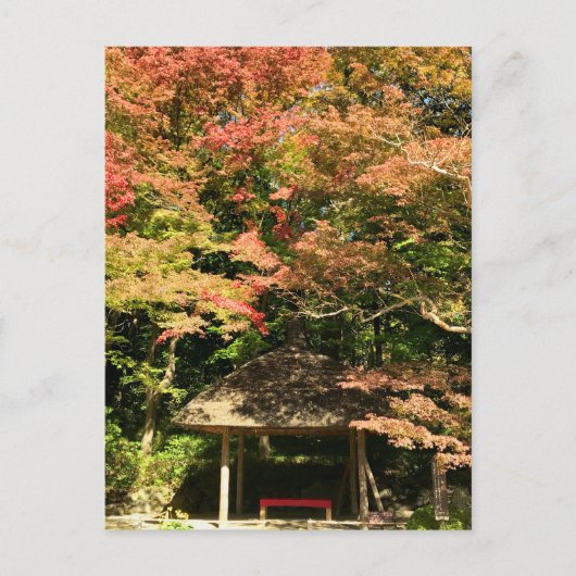 カラーメープルツリーアンドレストハウス ポストカード (正面)