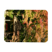 カラーメープルツリーアンドレストハウス マグネット (横)