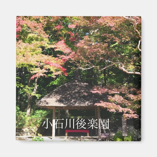 カラーメープルツリーアンドレストハウス マグネット (正面)