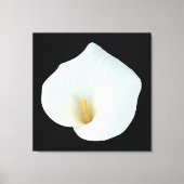 カラーリリーの花 庭のガーデン写真 キャンバスプリント (正面)