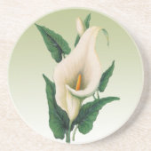 カラーリリー コースター (正面)