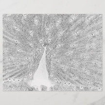 カラーリングページ – しっぽをファンデッドにした孔雀