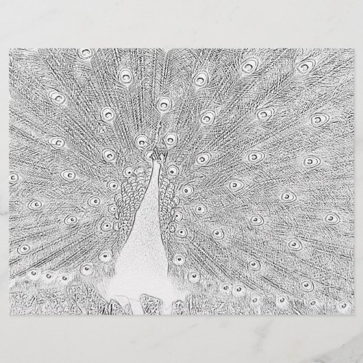 カラーリングページ – しっぽをファンデッドにした孔雀 (正面)