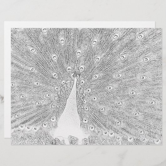 カラーリングページ – しっぽをファンデッドにした孔雀 (正面/裏面)