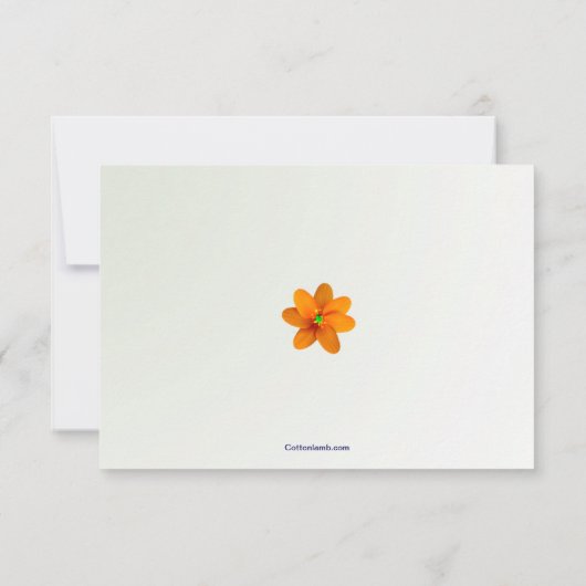 カラーレスポンスカードのスプラッシュ 出欠カード (裏面)