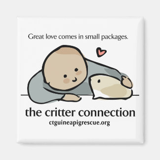 カラーロゴとウェブサイト付き角型マグネット マグネット