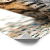 カラー写真用ポスター ポスター (角)