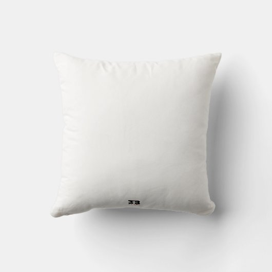 カラー分解 クッション (裏面)