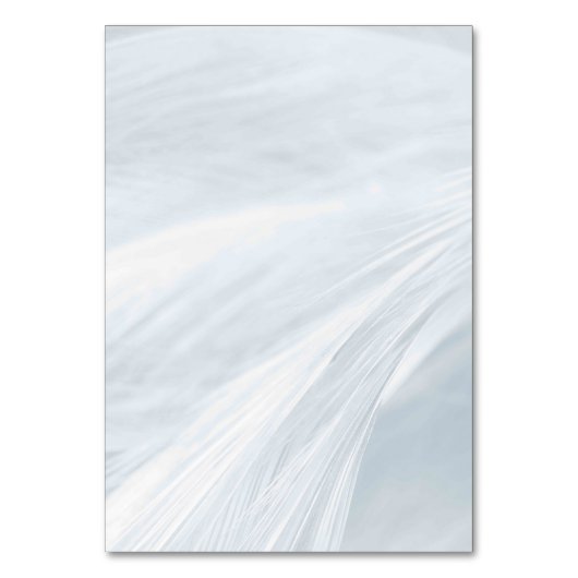 カラー無地のアメリカテーブル番号カード テーブルナンバー (正面)