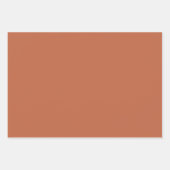 カラー無地のプレインパステルラストオレンジ ラッピングペーパーシート (正面2)