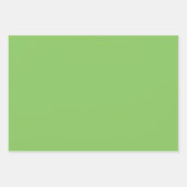 カラー無地のプレーンのリンゴ果樹園パステルグリーン ラッピングペーパーシート (正面2)