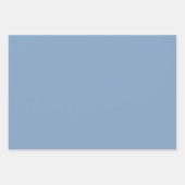 カラー無地のプレーンほこりっぽい青いパステル ラッピングペーパーシート (正面)