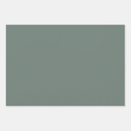 カラー無地のミニマリストダスティグレーセージ緑 ラッピングペーパーシート