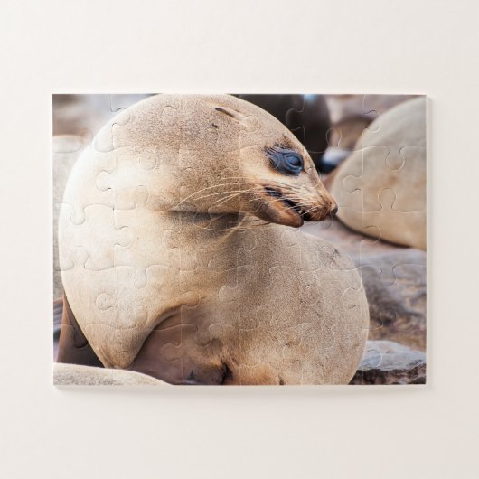 カラー独身ののシール ジグソーパズル (横)