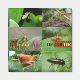 カラー磁石昆虫学者 マグネット