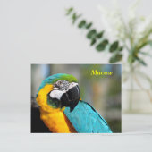 カラー鮮やかマカオ ポストカード (スタンド正面)