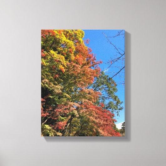 カラー鮮やかモプル キャンバスプリント (正面)