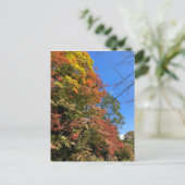 カラー鮮やかモプル ポストカード (スタンド正面)