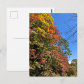 カラー鮮やかモプル ポストカード (正面/裏面)