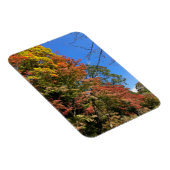 カラー鮮やかモプル マグネット (右側)