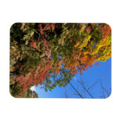 カラー鮮やかモプル マグネット (横)