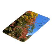 カラー鮮やかモプル マグネット (左側)