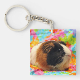 カラー・バーストのモルモットKeychain キーホルダー