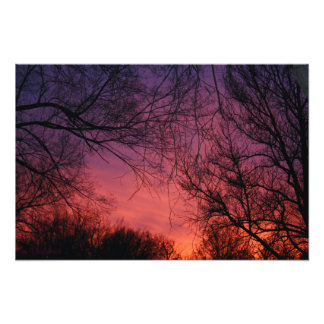 「カラー」写真 フォトプリント