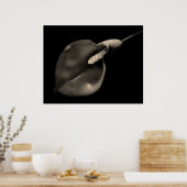 カラ ポスター (キッチン)