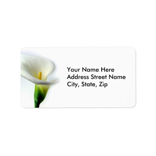 カラ ラベル (正面)