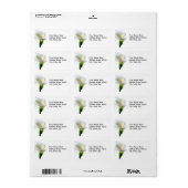 カラ ラベル (フルシート)