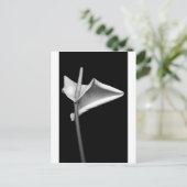 カラ#5 ポストカード (スタンド正面)