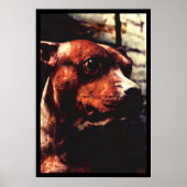 カリの木 ポスター (正面)