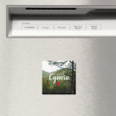 カリアドシムドウェールズヒルランドスケープ悪魔の橋 マグネット (インサイチュ (食洗機))