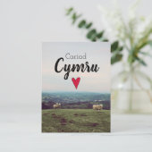 カリアドシムルヴィンテージウェールズランドスケープファームシープ ポストカード (スタンド正面)