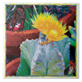 カリエンテサボスセラミックタイル タイル