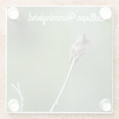 カリオプハミングバード ガラスコースター (裏面)