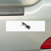 カリオペのハチドリ バンパーステッカー (車上)